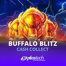 Buffalo Blitz: Cash Collect